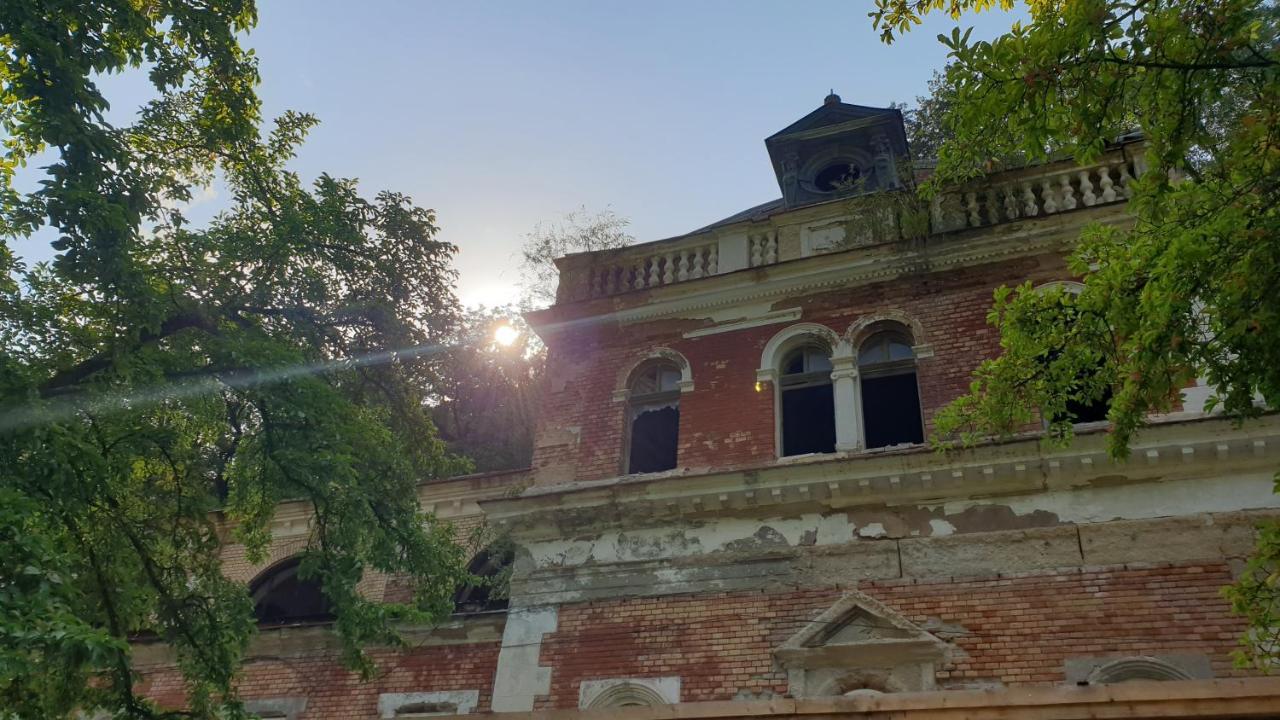 Апартаменти Casa Arion Беїле-Херкулане Екстер'єр фото