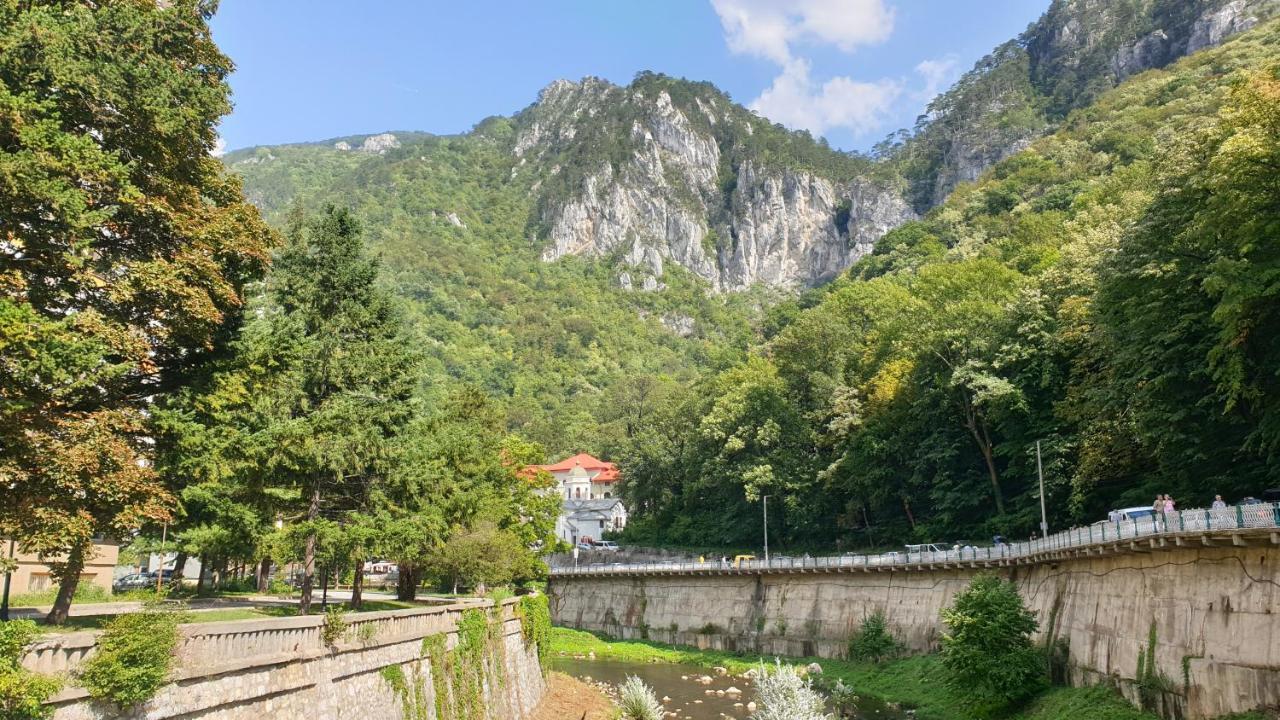 Апартаменти Casa Arion Беїле-Херкулане Екстер'єр фото